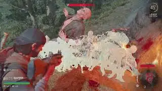 Solomon Hill Horde (Easy Way) - Days Gone