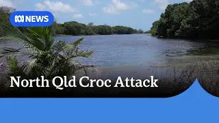 Man injured in crocodile attack near Ingham in north Queensland | ABC NEWS