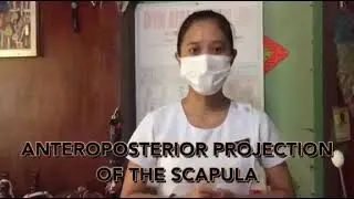 Scapula AP & Lateral (RAO) Projection