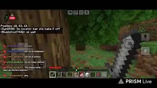 Let's play Minecraft bedrock servers