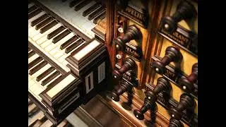 Dick Sanderman | Psalm 146 | Gerard Adriaanse | Hinsz organ Bovenkerk Kampen