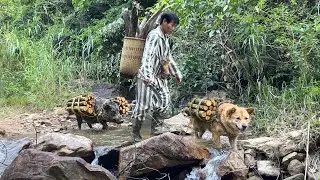My Dog, Pig, and Monkey Help Me Carry Firewood from the Forest to Town to Trade for Food