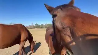 Когда жизнь становится трудной! Это всегда делает её лучше.