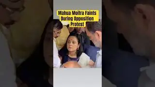 Mahua Moitra Fainting During Opposition Protest Goes Viral | Rahul Gandhi To The Rescue! #shorts