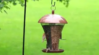Perky-Pet&reg; Easy Fill Deluxe Feeder