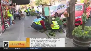 Neighborhood Spring Clean-Up, 9am