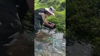 unic animals  fish product by the river #viralsorts #fishing #satisfyling #trending #ytsortshorts