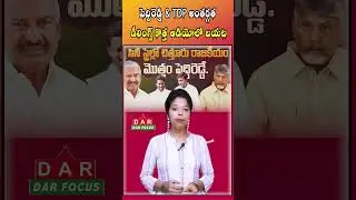 Leaked Audio Reveals Internal Dealings Between Peddi Reddy Family & TDP | Latest updates | DAR FOCUS