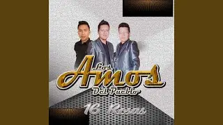 Xochipitzahuatl