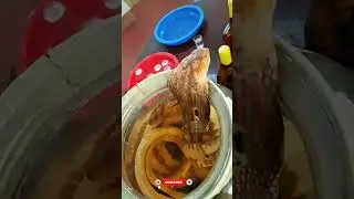 Do You Know What Is Snake Wine?? #viralvideo #youtubeshorts #shorts #viralvideo