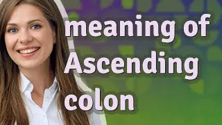 Ascending colon | meaning of Ascending colon