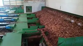 Moving floor biomass fuel supply system for biomass power plant