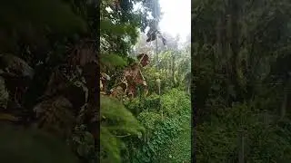 Barish | Rainy weather| Manipur| @manipur @ali4shorts392 #rain