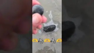 this is 🤪🫶🦓#bandedagate #beach #beachfinds #crystals #rockhounding #rockhunters #beachcomber