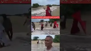 wellcome flood in sindh