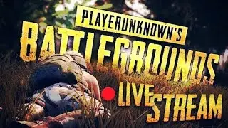 playing on OnePlus 8 | new phone | R O G U E GAMING