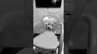 rip chair 100 bc - 2023