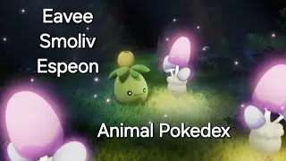 Smoliv Animated Pokedex Series _