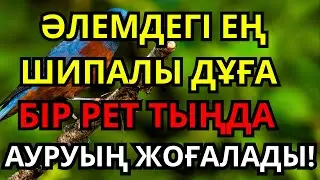 БІР РЕТ ҚОС – МӘҢГІЛІК САУЫҚ! 🤲 Алланың қалауымен денеңе толық шипа беріледі | 2