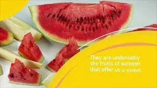 European Organic Food: Watermelon & Melon