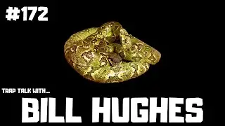 #172 BILL HUGHES | SANZINIA MADAGASCARIENSIS | MADAGASCAR TREE BOA BREEDER | TRAP TALK WITH MJ