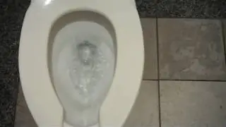 Toto and Kohler Fixtures at Sinclair Gas Station