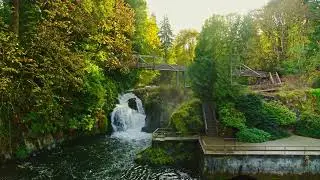 Welcome to Brewery Park at Tumwater Falls