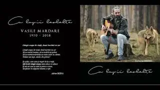Adrian Bezna & Cristian Pustai - Eu, c&acirc;nd treci cu mersul tău