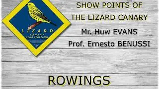 Lizard Canary Rowings