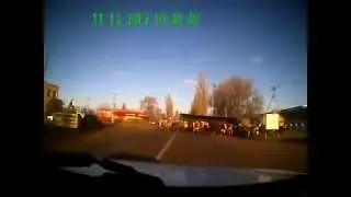Truck flips over in Russia and sends cows flying