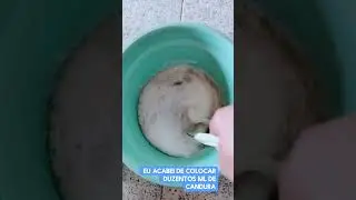 Detergente caseiro, f&aacute;cil r&aacute;pido e maravilhoso 