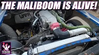 The Maliboom Is Running