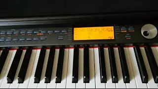 Thomann DP 95 Digital Piano: Set-up