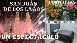 🏠CAMBIE LA CAMA DE LUGAR ✨️COMPRE PLANTITAS🤩DAMIAN LLORO DE LA EMOCION👌