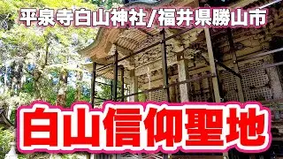 源義経も訪れた！【苔寺】泰澄により717年に開山された平泉寺白山神社！境内全域が国の史跡！かつて白山三馬場のひとつとして隆盛を極めた！【旅行VLOG、レビュー】白山国立公園特別指定区域の景観は必見！