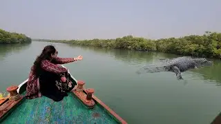 YouTube 300k Subscribers Celebration At Sundarbans.