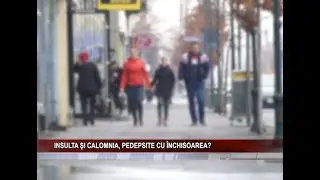INSULTA ȘI CALOMNIA, PEDEPSITE CU &Icirc;NCHISOAREA?