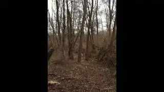 Chief Noonday Chapter of NCTA Work Day 3/23/13 on CCTA trail