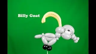 Learn how to make a Billy Goat balloon animal with Stretch