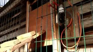 poulailler porte automatique