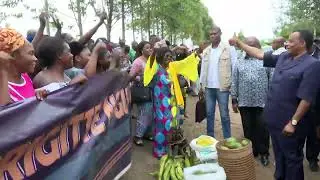 Denis #Sassou N’Guesso visite les unités pastorales d'#Abala et de #Gamboma