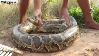 top Primitive Technology Amazing Build Deep Hole Underground Python Trap Using Bamboo That Work 100%