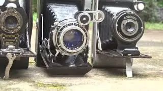VINTAGE / ANTIQUE BELLOWS (Accordian) CAMERAS