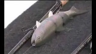 Big Baits on Don Pedro with Bill Siemantel & Vince Hurtado