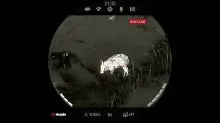 Wildboar, NOCPIX ace 35L, 80m
