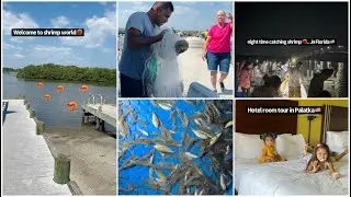 Daytime and nighttime shrimp catching experience 🦐in Florida#Jimin.Jarmin official 