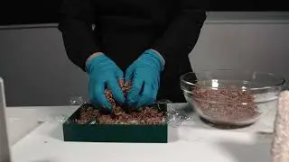 Mycelium Workshop