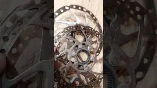 Fate attenzione alle bici con i dischi freno SHIMANO marchiati 