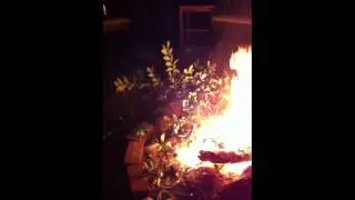 edm fire