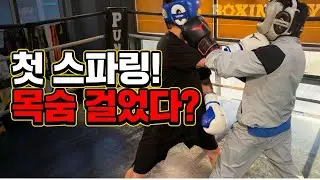 복싱 초보자들의 스파링은 어떨까?? #권투 #boxing #스파링 #복싱기술 #복싱 